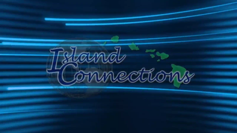 “Island Connections_ Israeli Occupation and Resistance” TV Program YouTube Apr 8 2016_Cynthia Franklin Accuses Israel of State-Sponsored Terrorism.mp4_#46
